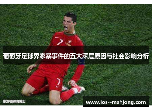 葡萄牙足球界家暴事件的五大深层原因与社会影响分析