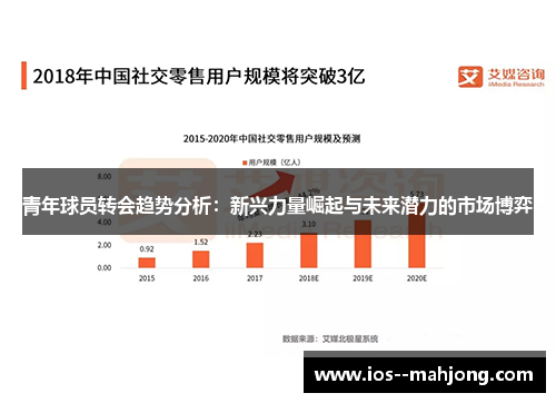 青年球员转会趋势分析：新兴力量崛起与未来潜力的市场博弈
