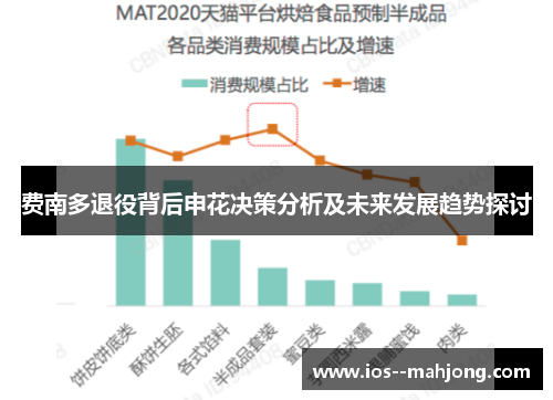 费南多退役背后申花决策分析及未来发展趋势探讨