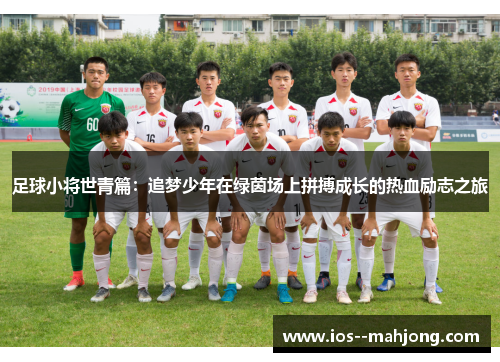 足球小将世青篇：追梦少年在绿茵场上拼搏成长的热血励志之旅