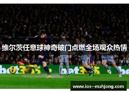 维尔茨任意球神奇破门点燃全场观众热情